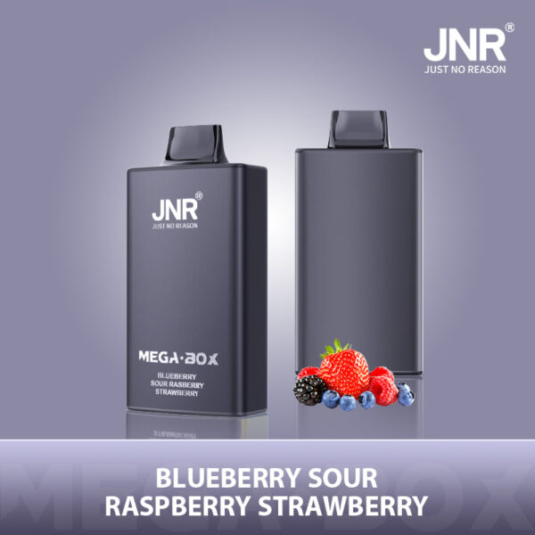 JNR Mega Box 25000 PUFF– Premium Vaping, Maximum Satisfaction - Image 2