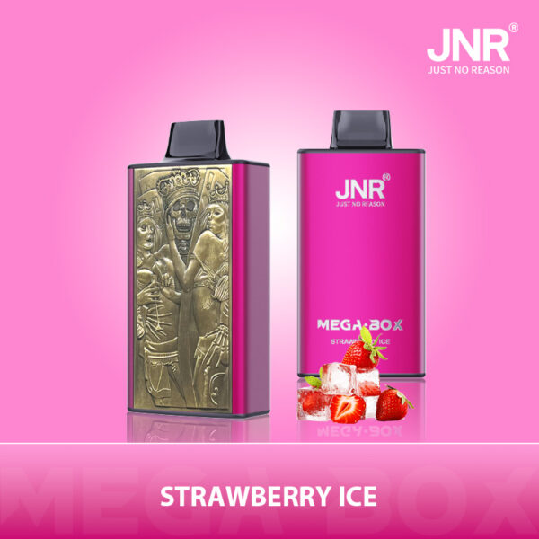 JNR Mega Box 25000 PUFF– Premium Vaping, Maximum Satisfaction - Image 11