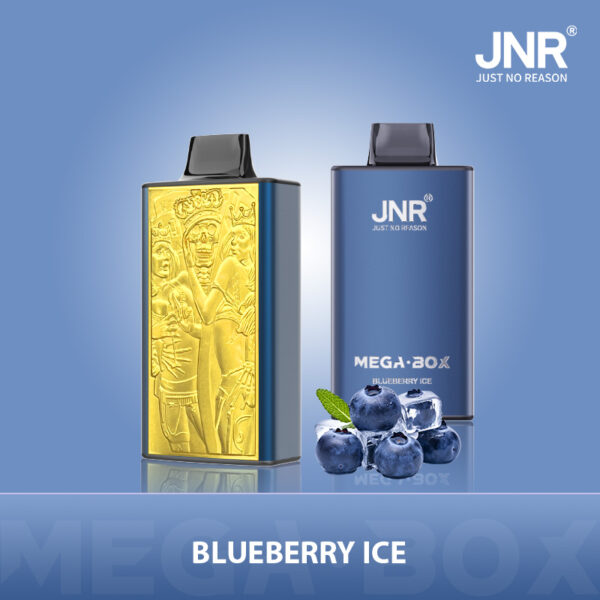 JNR Mega Box 25000 PUFF– Premium Vaping, Maximum Satisfaction - Image 12