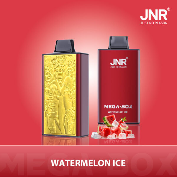 JNR Mega Box 25000 PUFF– Premium Vaping, Maximum Satisfaction - Image 13