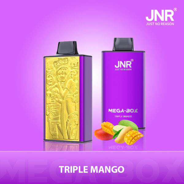 JNR Mega Box 25000 PUFF– Premium Vaping, Maximum Satisfaction - Image 19