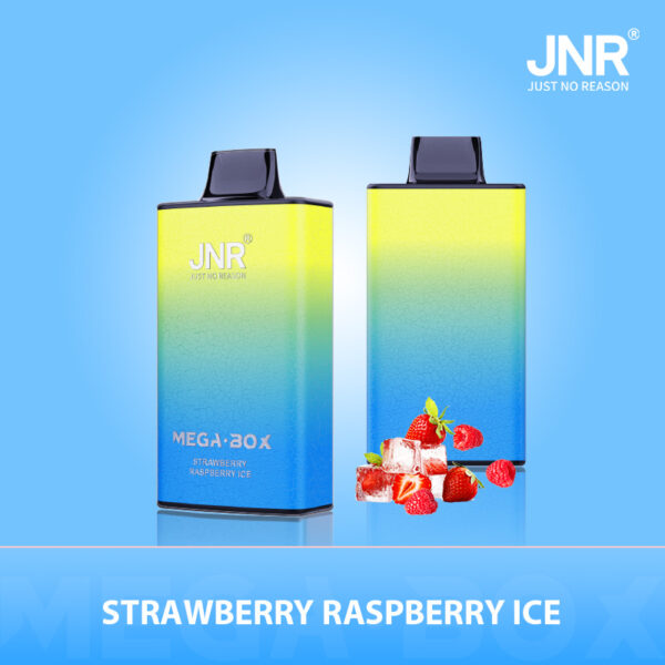 JNR Mega Box 25000 PUFF– Premium Vaping, Maximum Satisfaction - Image 21