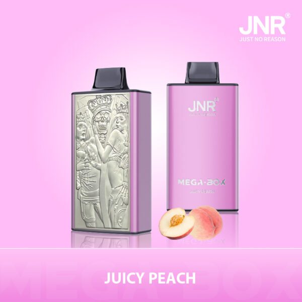 JNR Mega Box 25000 PUFF– Premium Vaping, Maximum Satisfaction - Image 4