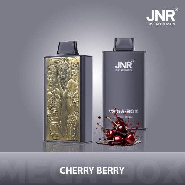 JNR Mega Box 25000 PUFF– Premium Vaping, Maximum Satisfaction - Image 5