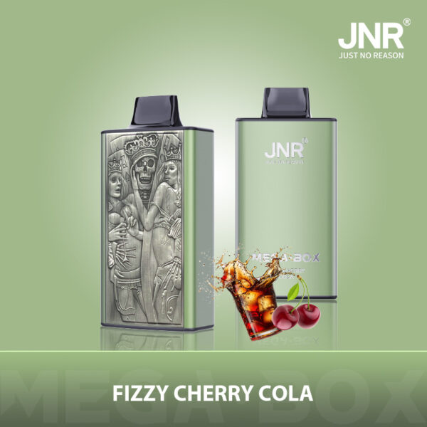JNR Mega Box 25000 PUFF– Premium Vaping, Maximum Satisfaction - Image 6