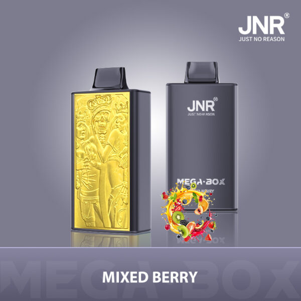 JNR Mega Box 25000 PUFF– Premium Vaping, Maximum Satisfaction - Image 8