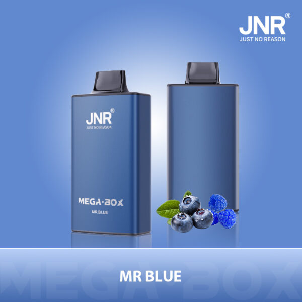 JNR Mega Box 25000 PUFF– Premium Vaping, Maximum Satisfaction - Image 9