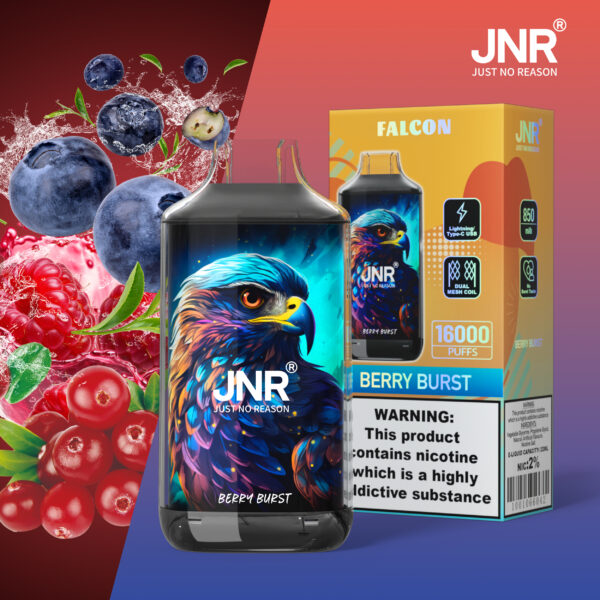 JNR Falcon 16000 PUFF– EU Warehouse, Ultimate Vaping, Stylish Design - Image 2
