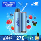 Blueberry-Red-Raspberry蓝莓红树莓-JNR AURORA 27000 PUFF-Kasumivape