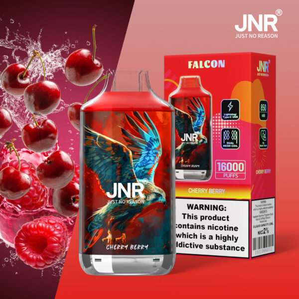 JNR Falcon 16000 PUFF– EU Warehouse, Ultimate Vaping, Stylish Design - Image 4