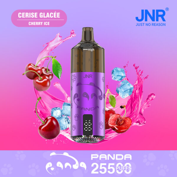 JNR PANDA 25500 PUFF – Long-Lasting 25.5K Puffs with Premium Flavors - Image 10