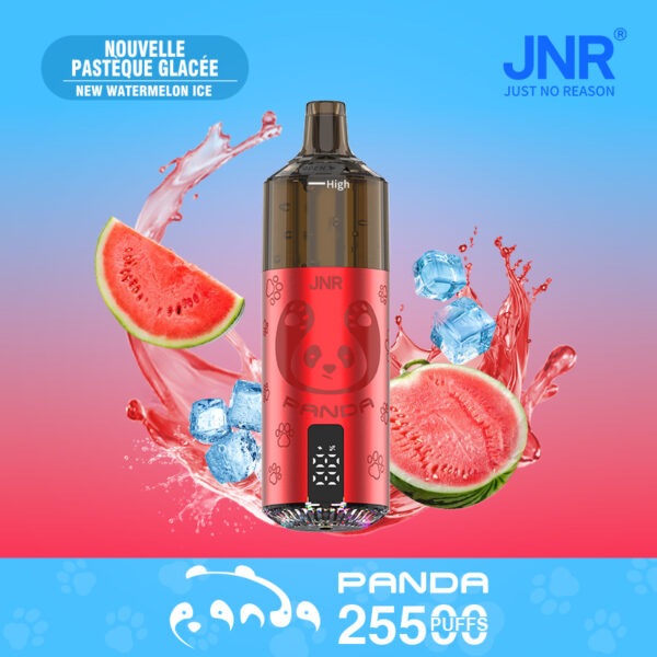 JNR PANDA 25500 PUFF – Long-Lasting 25.5K Puffs with Premium Flavors - Image 6