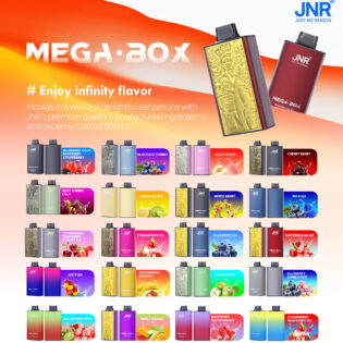 JNR Mega Box 25000 PUFF– Premium Vaping, Maximum Satisfaction
