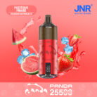 JNR PANDA 25500 PUFF Kasumivape