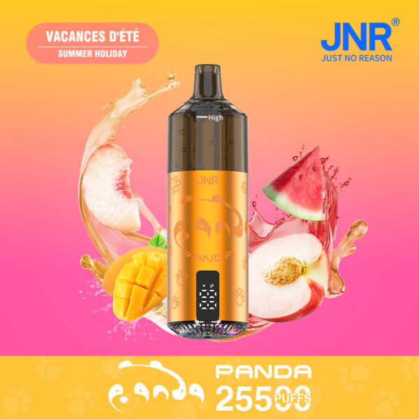 JNR PANDA 25500 PUFF – Long-Lasting 25.5K Puffs with Premium Flavors - Image 3