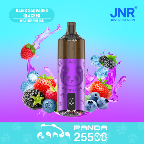 JNR PANDA 25500 PUFF – Long-Lasting 25.5K Puffs with Premium Flavors - Image 2