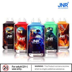 JNR Falcon 16000 PUFF– EU Warehouse, Ultimate Vaping, Stylish Design