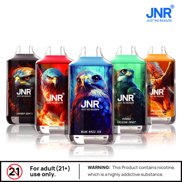 JNR Falcon 16000 PUFF– EU Warehouse, Ultimate Vaping, Stylish Design