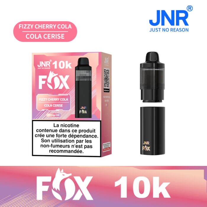 JNR FOX 10000 PUFF Kasumi