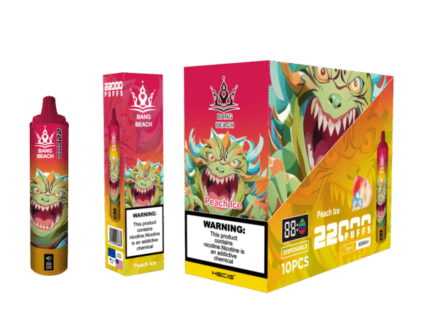BANG BEACH 22000 PUFF: Your Endless Vaping Vacation: 22,000 Puffs and a Rechargeable 850mAh Battery - Image 2