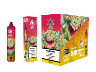 BANG BEACH 22000 PUFF-Kasumivape