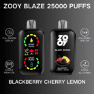 ZOOY Blaze 25000 PUFF Kasumivape