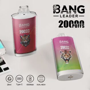 Bang Leader 20000 PUFF: 28ML Capacity, 13400 Battery, and 20,000 Hits of Uninterrupted Flavor
