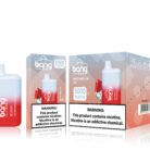 BANG BC 5000-Kasumivape