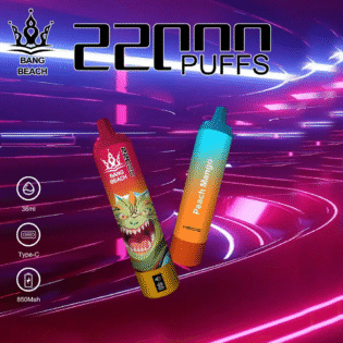 BANG BEACH 22000 PUFF: Your Endless Vaping Vacation: 22,000 Puffs and a Rechargeable 850mAh Battery
