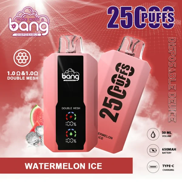 Bang 25000 PUFF: The Ultimate Vaping Experience with a 1.0Ω Mesh Coil - Image 8