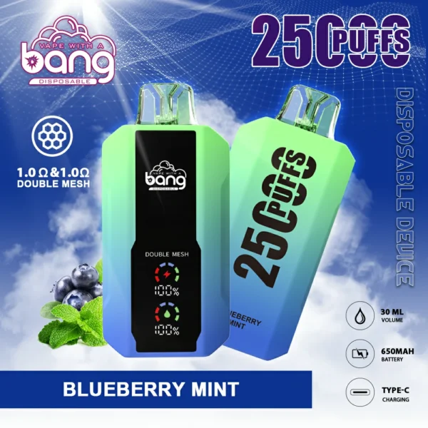 Bang 25000 PUFF: The Ultimate Vaping Experience with a 1.0Ω Mesh Coil - Image 2