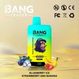 Bang Leader 45000 Puffs-Blueberry Ice & Strawberry and Banana-Disposable Device