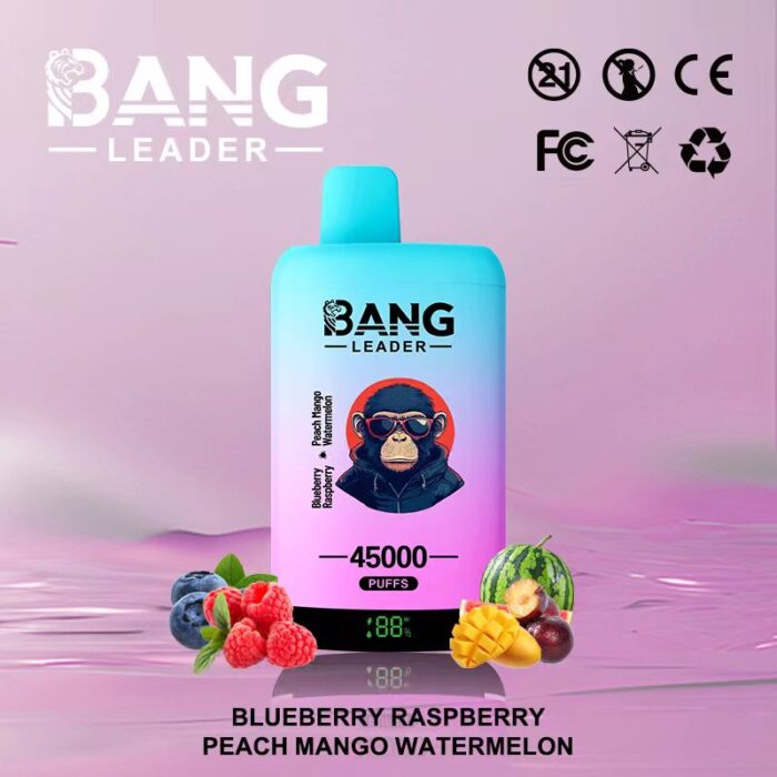 Bang Leader 45000 Puffs-Blueberry Raspberry & Peach Watermelon-Disposable Vape