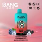 Blueberry Ice & Black Dragon Ice-Bang Leader 45000 Puffs-Dual Flavors E-Cigarette