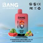 Strawberry Watermelon Ice & Kiwi Passion Fruit Guava-Bang Leader 45000 Puffs-Double Flavors