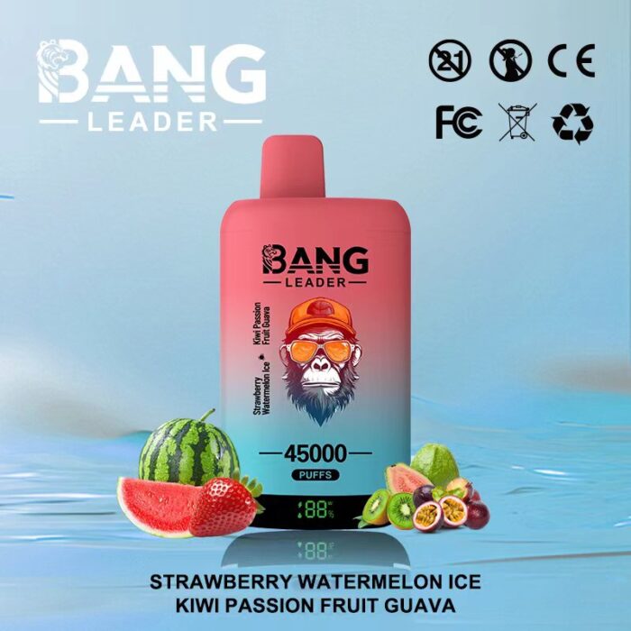 Strawberry Watermelon Ice & Kiwi Passion Fruit Guava-Bang Leader 45000 Puffs-Double Flavors