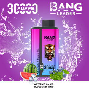Bang Leader 30000 PUFF: 30,000 Puffs of Freedom with a Massive 36ML Tank and 13400 Battery