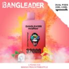 Bang Leader 32000 PUFF-Kasumivape