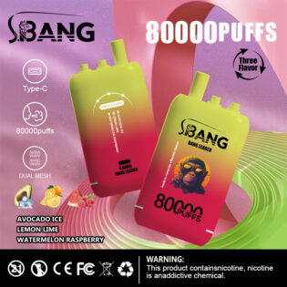 Bang Leader 80000 PUFF: Unmatched Power: 80K Hits, 850mAh Battery, and Available for OEM/ODM Customization