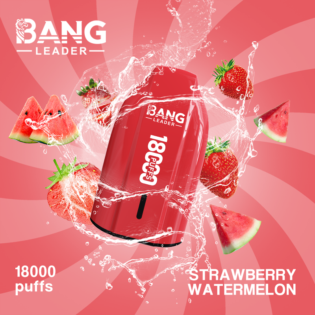 Bang Leader 18000 PUFF : 18,000 bouffées | Mesh Coil | Chargement Type-C