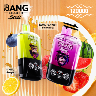 Bang Leader 120K PUFF: 120.000 Puffs | 2-in-1 Flavor Switch | Type-C