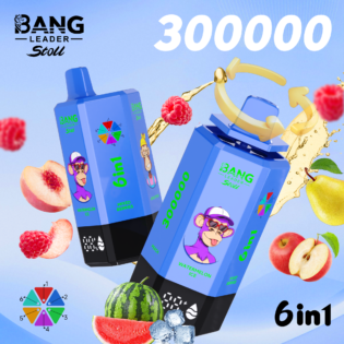 Bang Leader 300K PUFF: 300.000 caladas | Interruptor de sabor 6 en 1 | Tipo-C