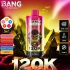 Bang 120000 Puffs 5 in 1 Vape-watermelon ice-strawberry mango-california cherry-blueberry peach ice-berry ice-disposable vape