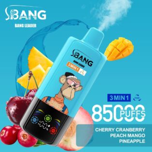 Bang Leader 85000 PUFF: 85,000 Puffs | 1.0Ω Mesh | 17350 Cobalt Battery